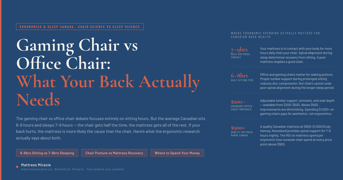 Gaming Chair vs Office Chair — What the Ergonomic Research Says About Your Back
