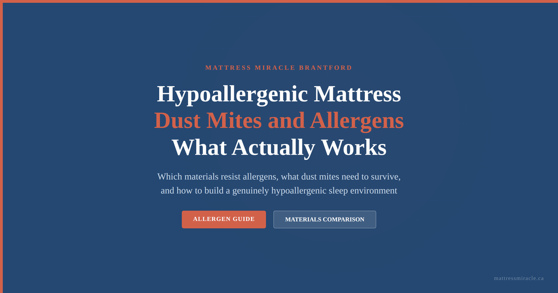 Hypoallergenic mattress dust mites and allergens guide