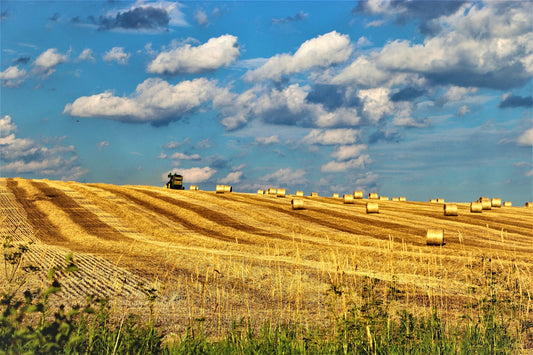 Ontario farmland representing Brant County rural heritage