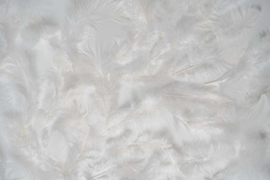 Buffy Cloud Comforter Review: Recycled Fill and Eucalyptus Shell