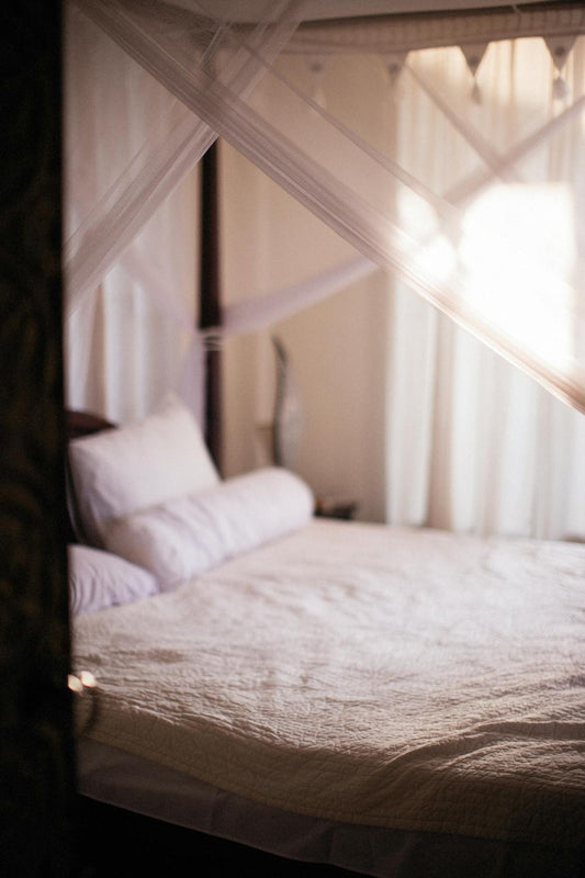 Elegant canopy bed frame in a sunlit bedroom - Mattress Miracle Brantford