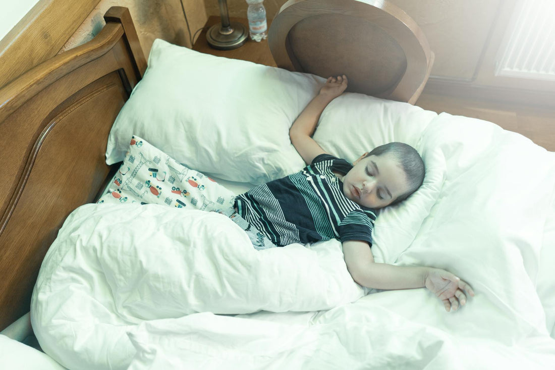 Sleep chronotype guide - find your sleep animal - Mattress Miracle Brantford