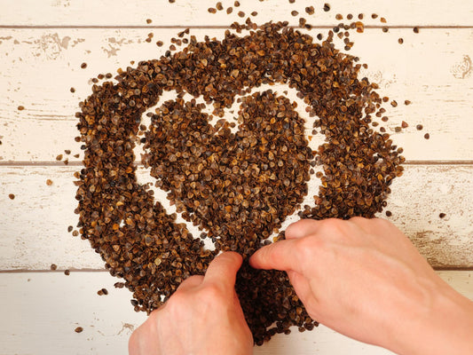 ComfyComfy Pillow Review: Handcrafted Organic Buckwheat from Toronto