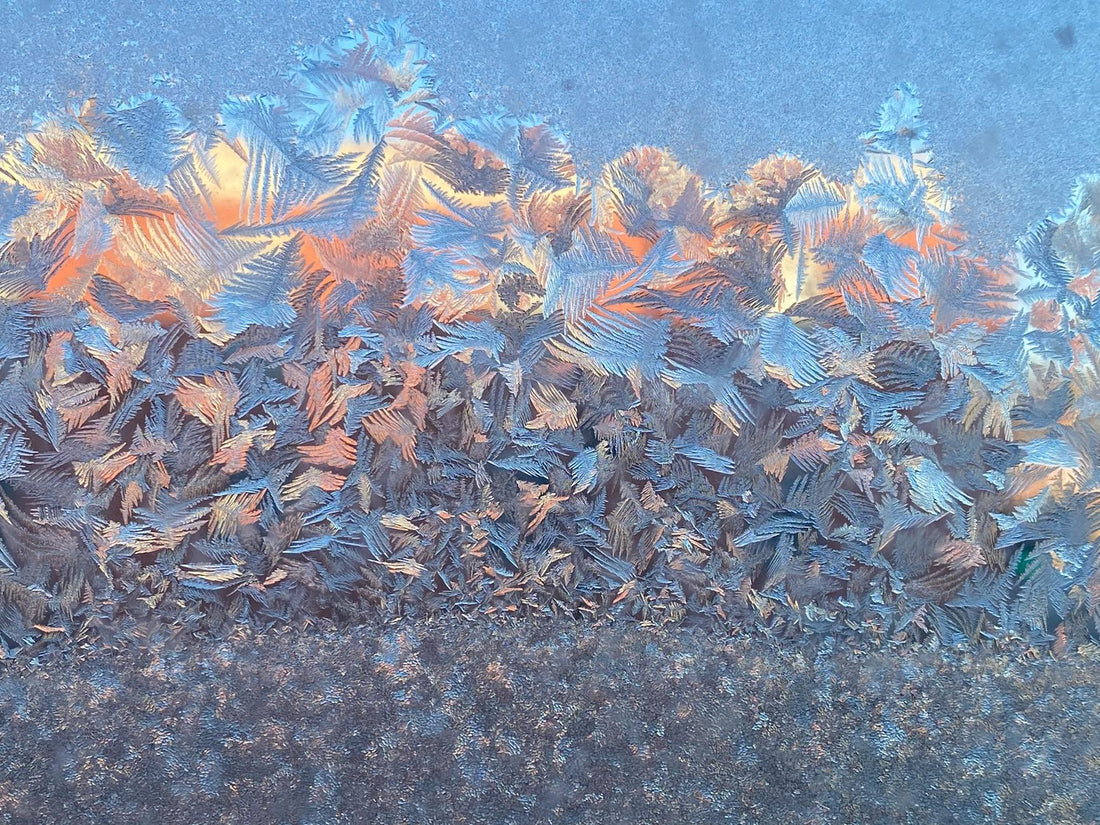 Winter frost on window on a cold Alberta morning - Mattress Miracle