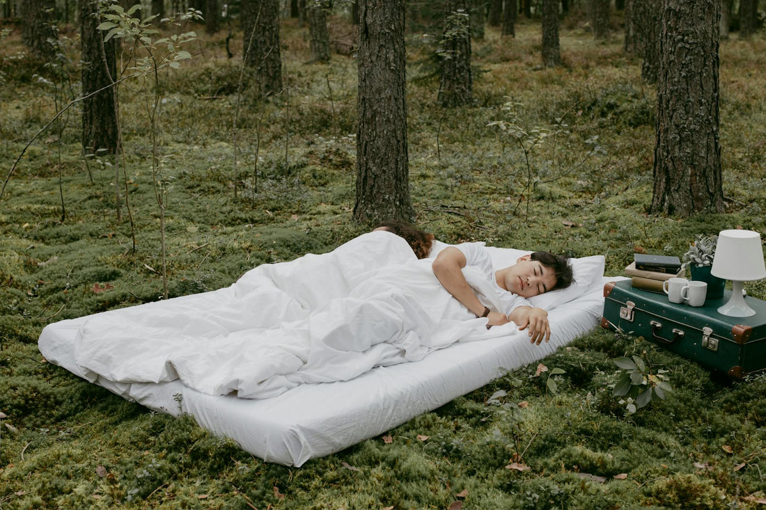 Bloom Air Mattress: Eco-Friendly Inflatable Beds Reviewed and Compared