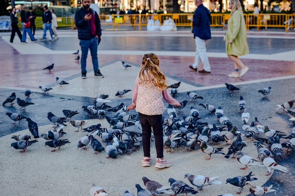 Harmony Square Community Gathering - Mattress Miracle Brantford