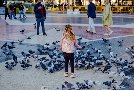 Harmony Square Community Gathering - Mattress Miracle Brantford