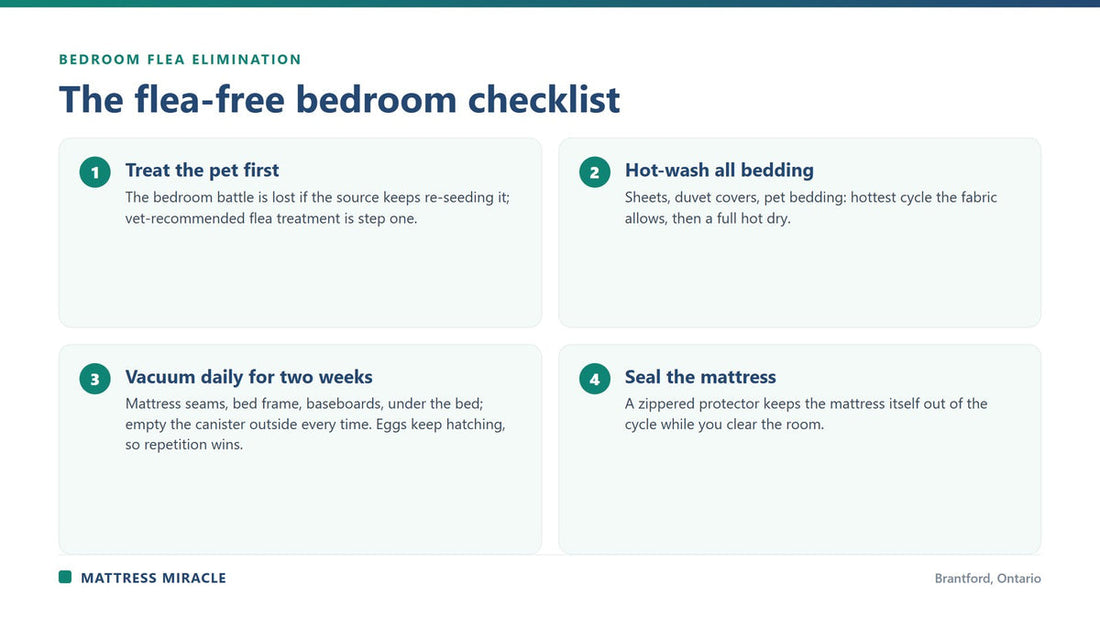 mattress cleaning checklist after flea bomb