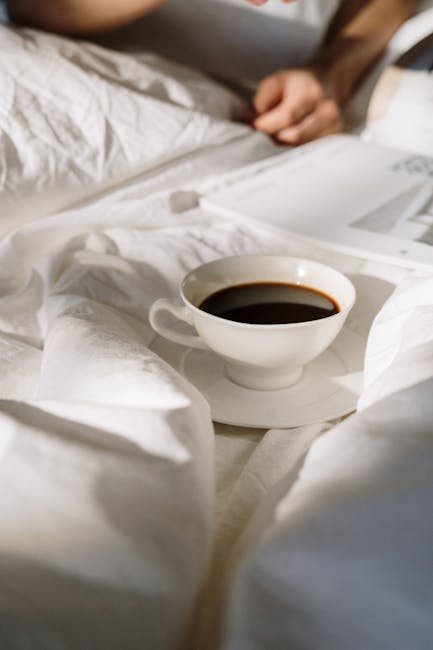 Introvert bedroom sanctuary reading retreat - Mattress Miracle Brantford