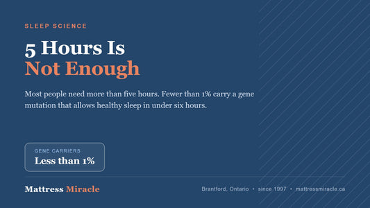 Is 5 Hours of Sleep Enough? Short Sleep Gene - Mattress Miracle Brantford