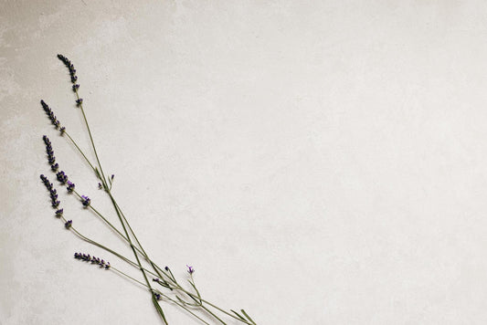 Lavender Pillow Spray and Sleep: What the Clinical Research Says - Mattress Miracle Brantford