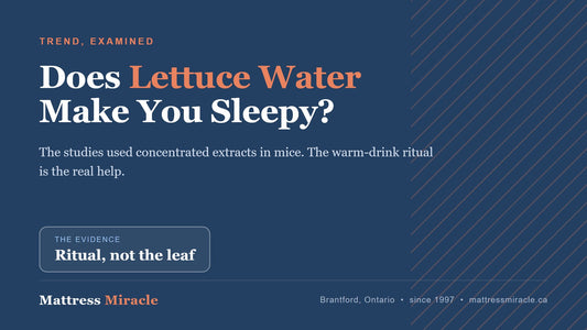 Does lettuce water make you sleepy? The trend examined - Mattress Miracle Brantford