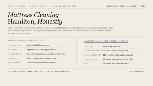 Mattress Cleaning Hamilton editorial card from Mattress Miracle Brantford