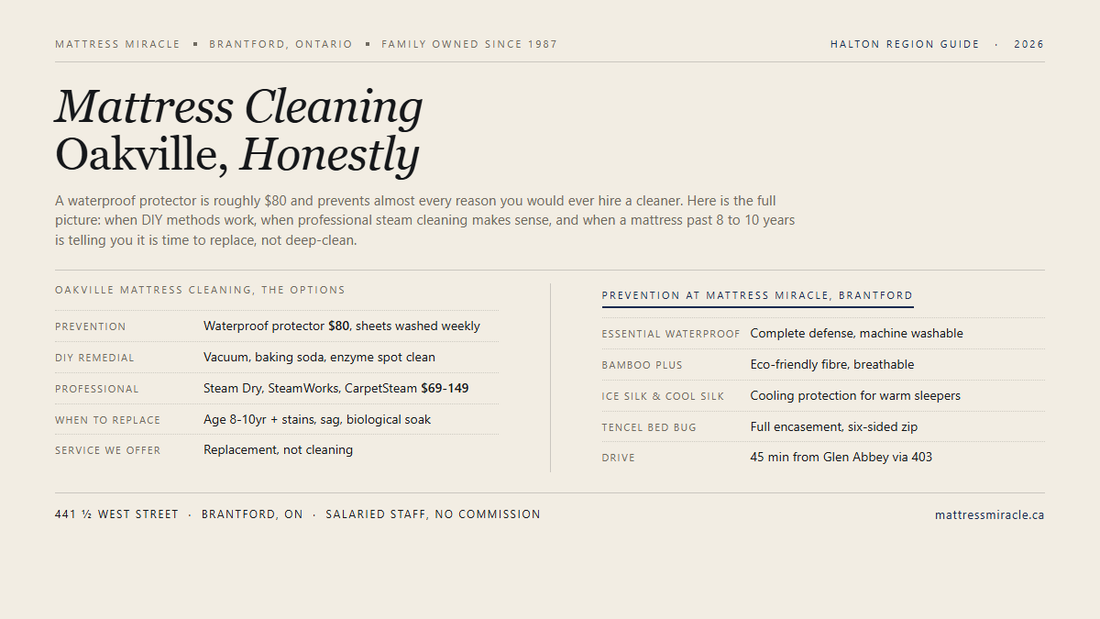 Mattress Cleaning Oakville editorial card from Mattress Miracle Brantford