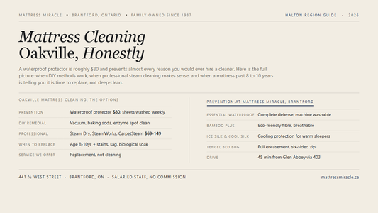 Mattress Cleaning Oakville editorial card from Mattress Miracle Brantford