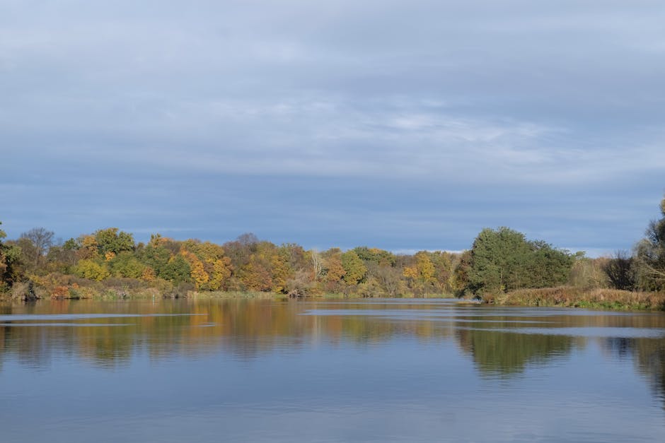 E Pauline Johnson Grand River Peaceful Nature - Mattress Miracle Brantford