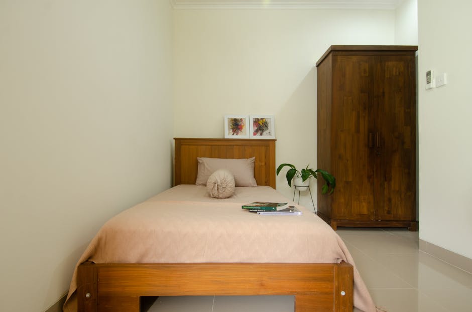 Sofa Murphy Bed Guide: Types, Sizes & Tips - Mattress Miracle Brantford