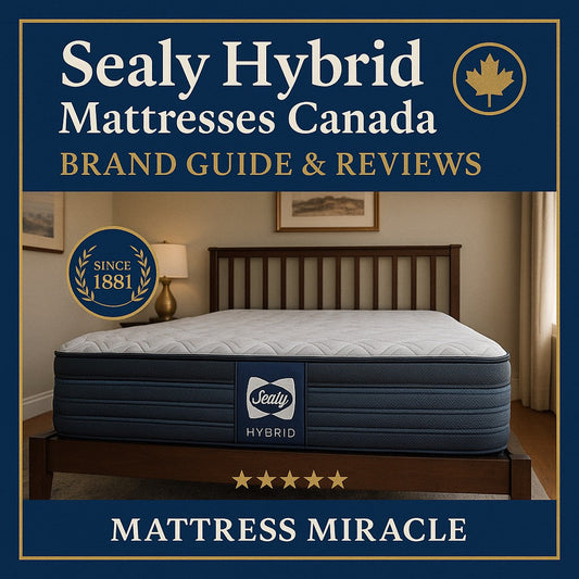 sealy hybrid mattress canada reviews at mattress miracle brantford cover