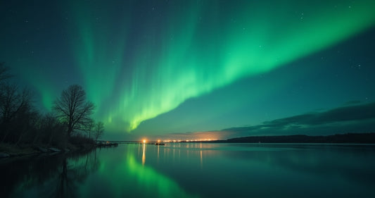 Aurora Borealis for Sleep: Two Mechanisms, One Search