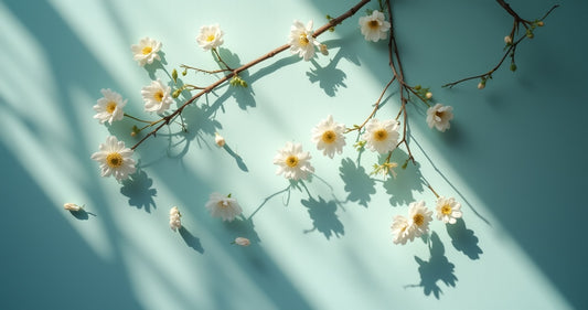 Is Best Jasmine Sleep Right for You? Expert Advice