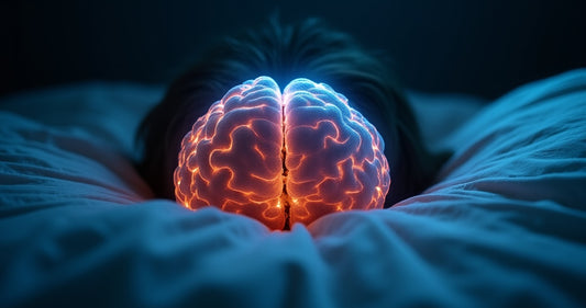 How Rem Sleep Behavior Disorder Affects Your Daily Life