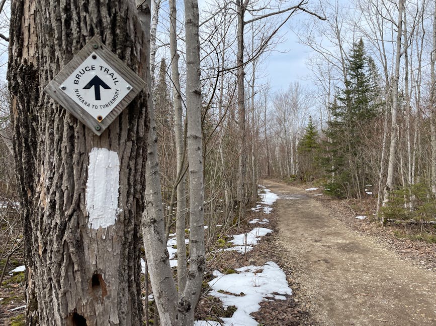 Things To Do Brantford Hiking Trail - Mattress Miracle Brantford