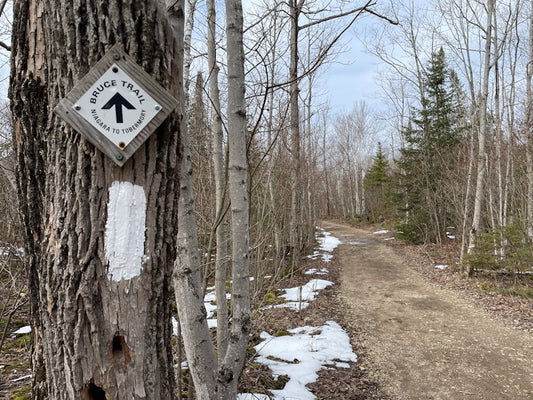 Things To Do Brantford Hiking Trail - Mattress Miracle Brantford