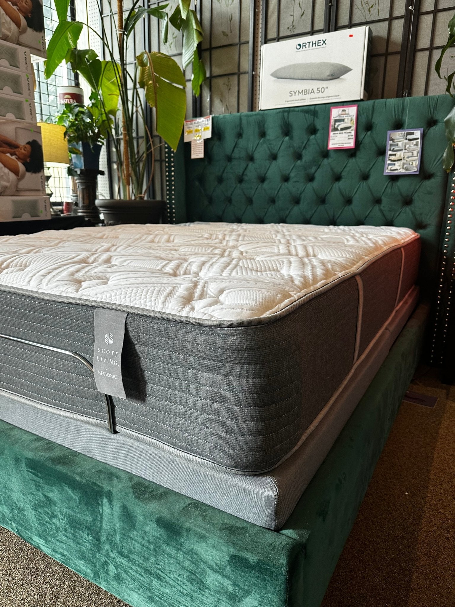 Anderson Mattress Firm by Scott Living - Mattress Miracle