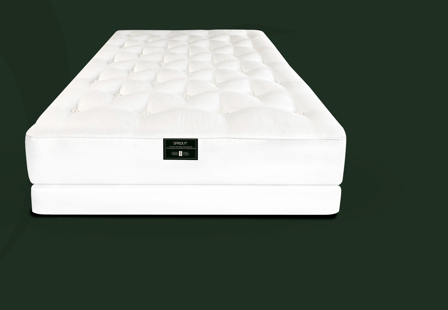 Sprout Durus two-sided medium natural mattress on hardwood foundation - Mattress Miracle Brantford