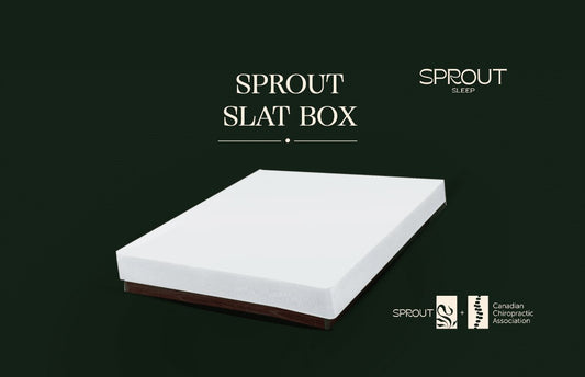 Sprout full-flex 8 inch box spring in solid Canadian hardwood - Mattress Miracle Brantford