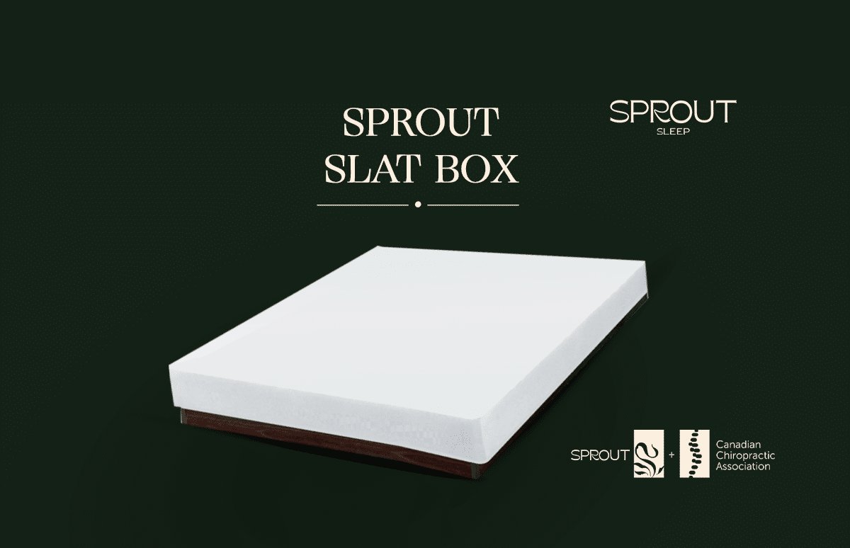 Sprout low-profile 4 inch box spring in solid Canadian hardwood - Mattress Miracle Brantford