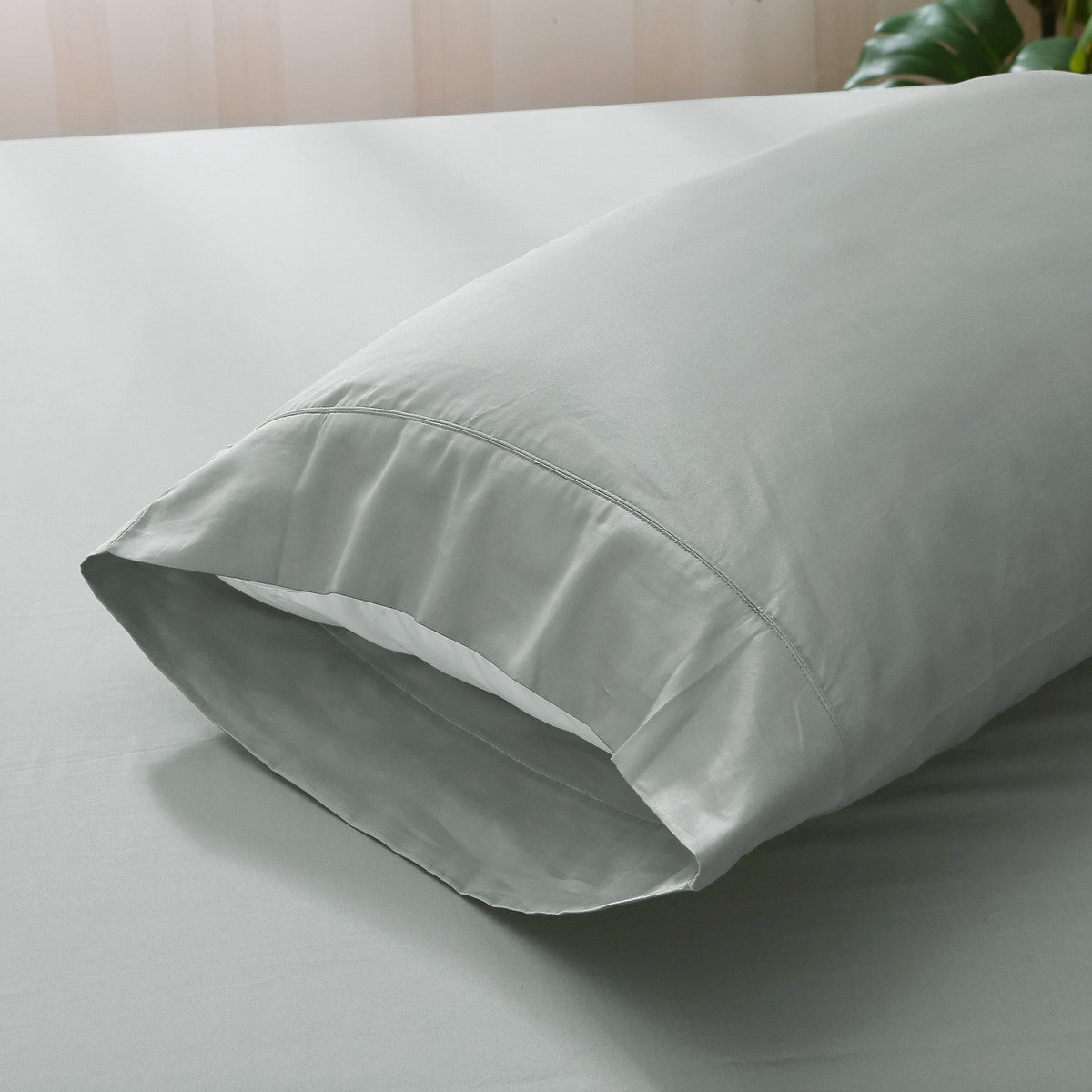 Versaille 300TC Cotton Pillowcase | Highland Feather